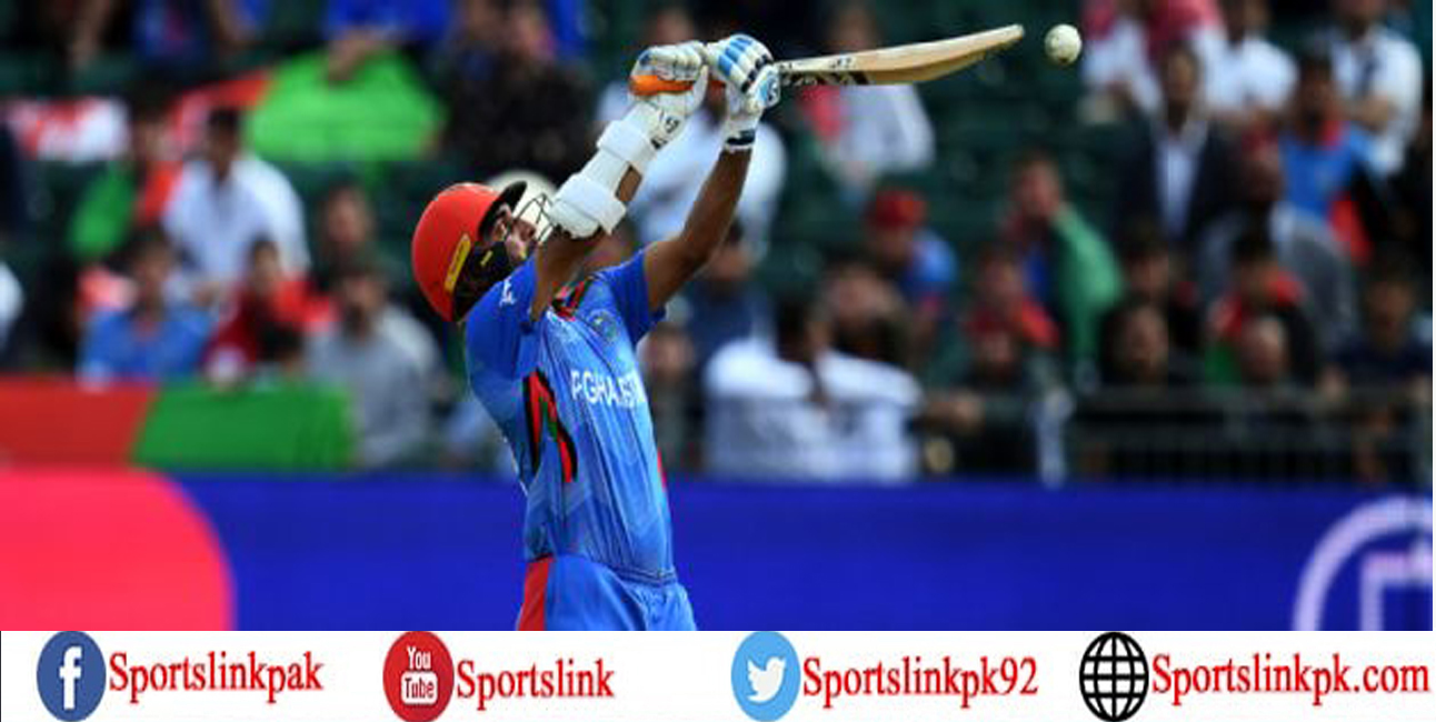 Hashmatullah Shahidi's unbeaten 74 sets up Afghanistan's win over Pakistan