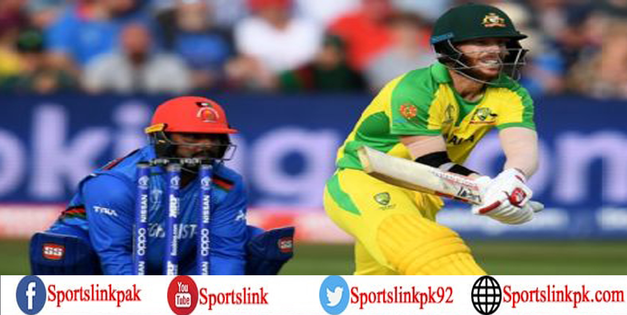 David Warner marks international return with match-winning 89*