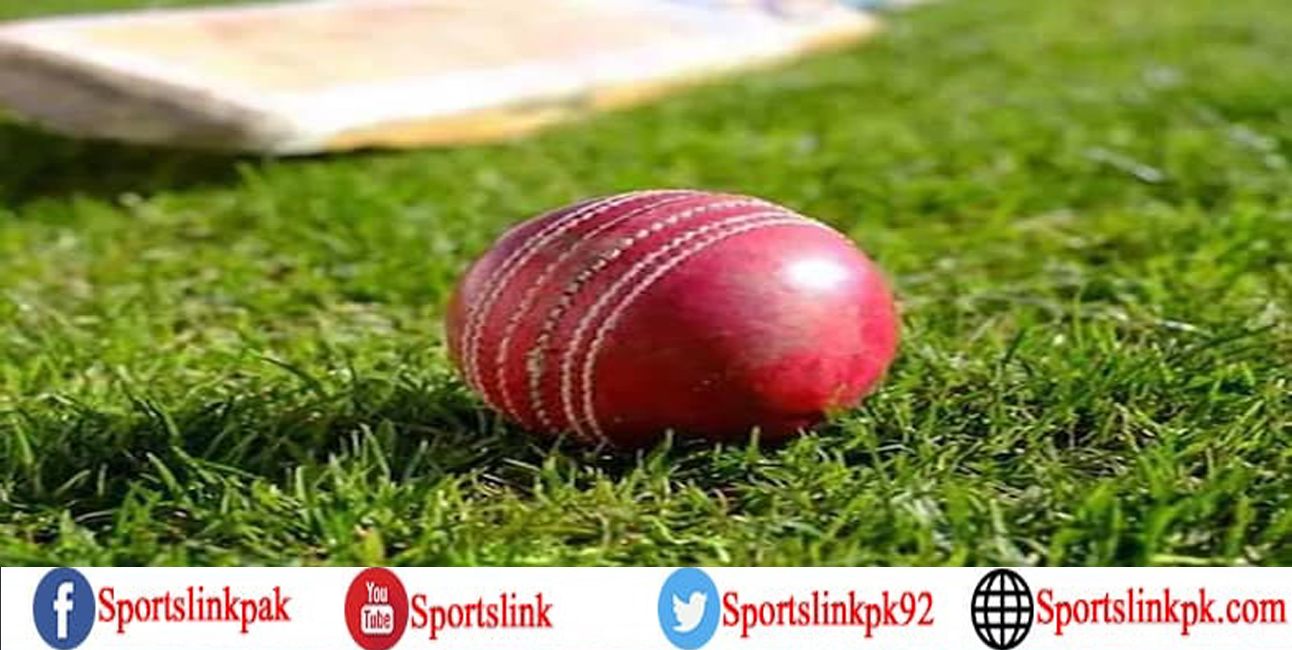 Mali Women's Cricket Team Bowled Out For 6 Runs In T20I Against Rwanda